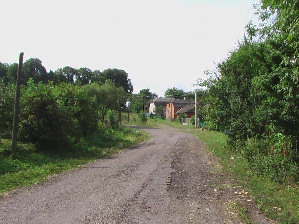 Дроховичі з panoramio.com - Дроховичи