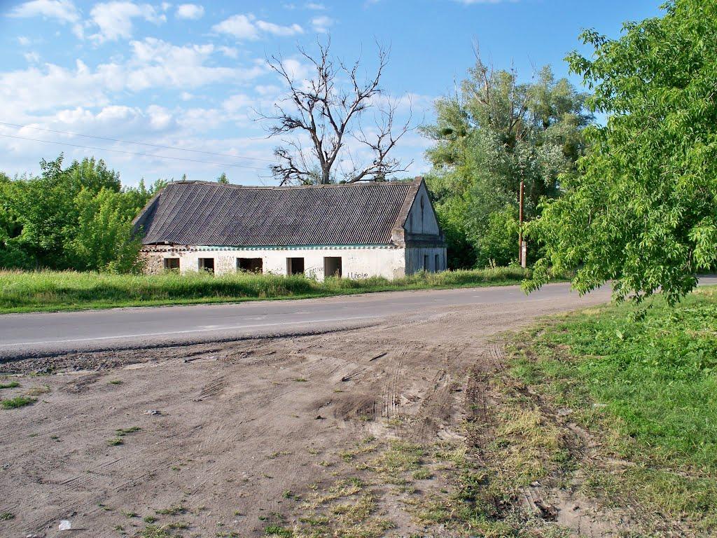 Буки з panoramio.com - Буки