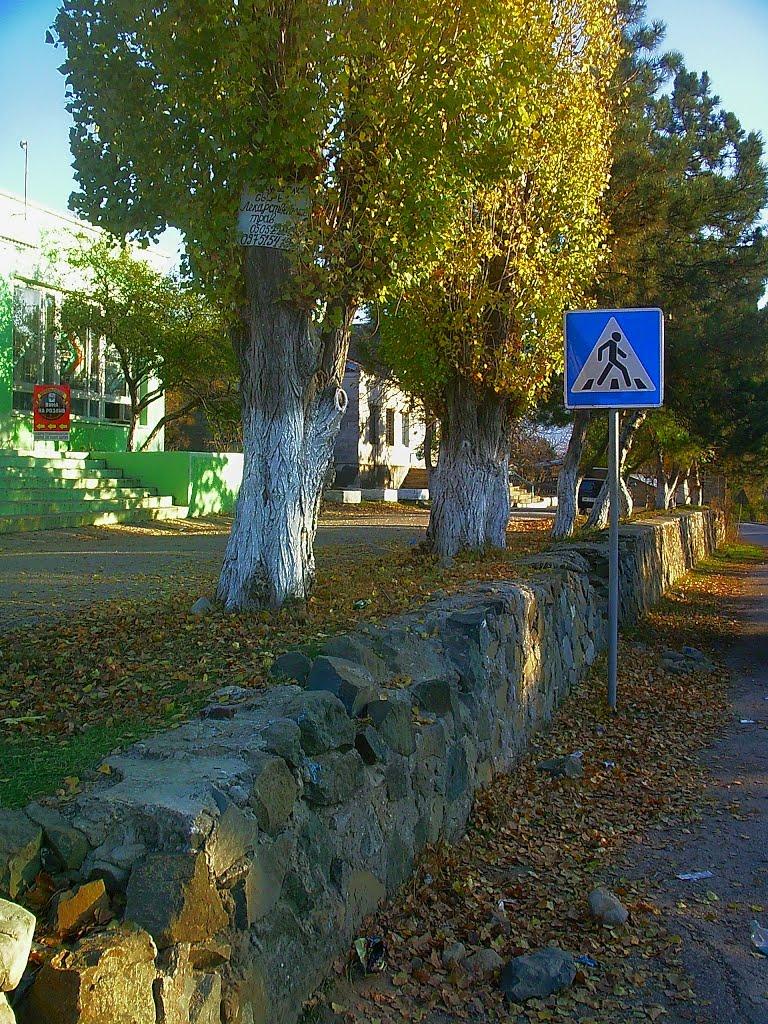 Голубинка з panoramio.com - Голубинка