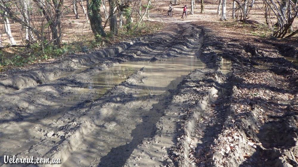 Багата Ущелина з panoramio.com - Bagata Uschelyna