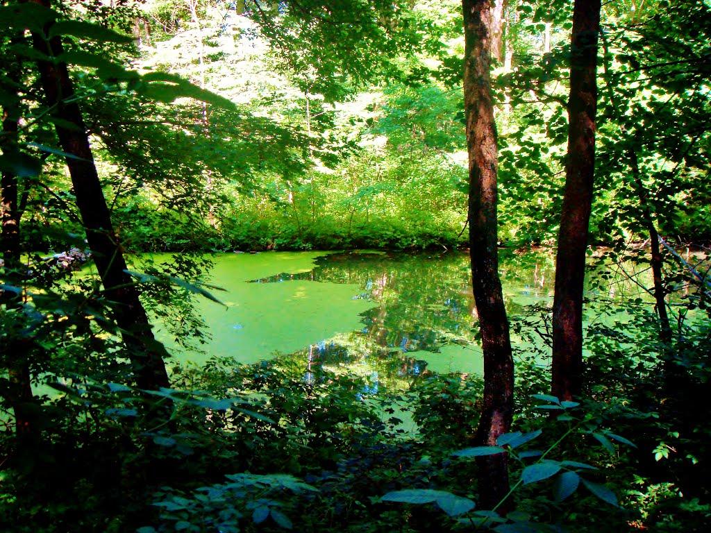 Козацьке з panoramio.com - Казацкое