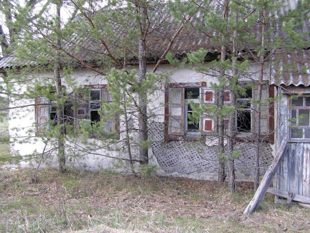Дитятки з panoramio.com - Dytyatky