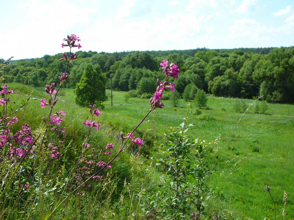 Люджа з panoramio.com - Люджа