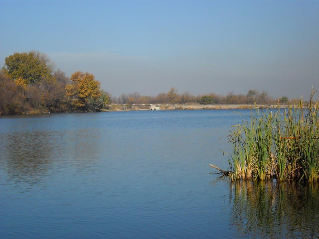 Карло-Марксове з panoramio.com - Карло-Марксово