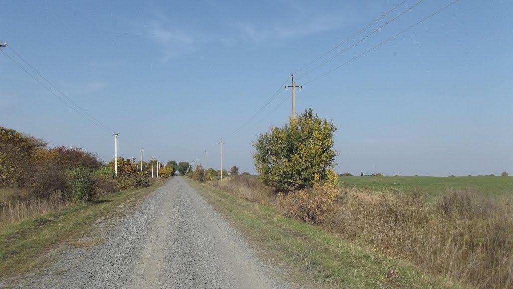 Лаврів з panoramio.com - Лаврів