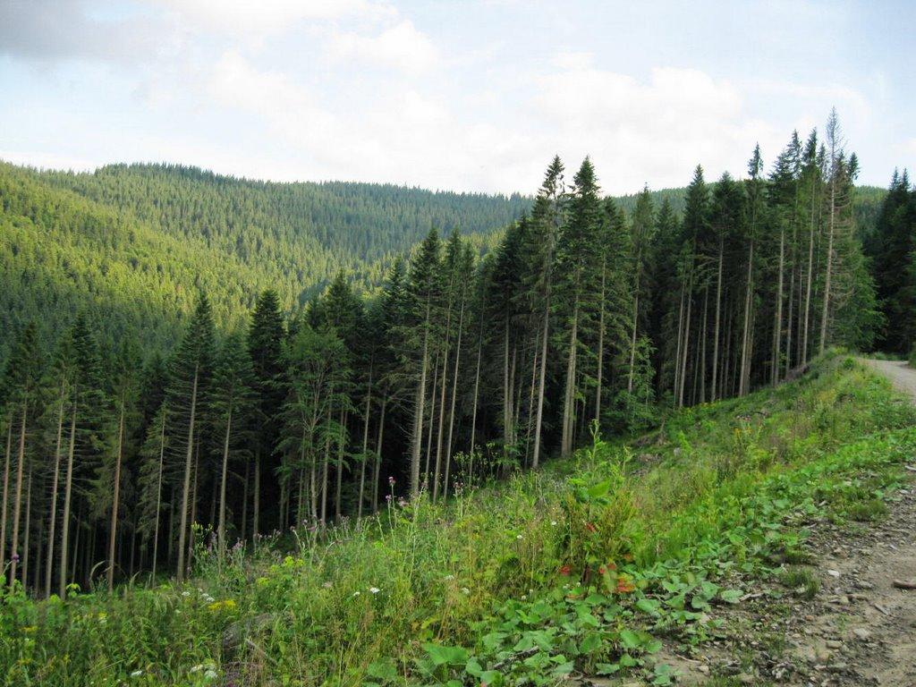 Долішній Шепіт з panoramio.com - Долишний Шепот