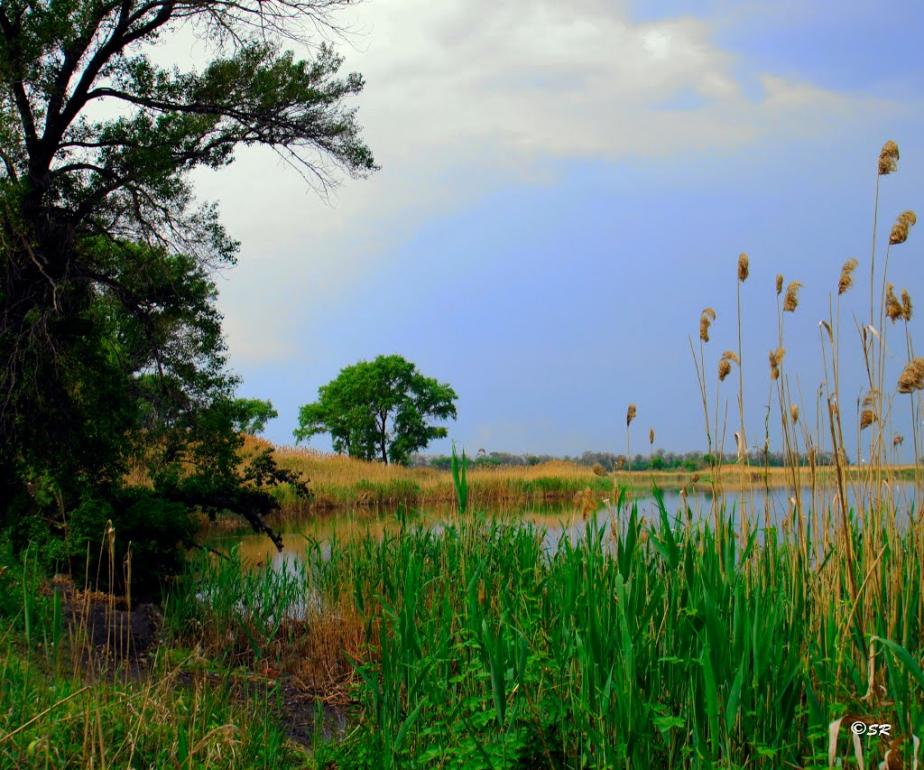 Олександрівка з panoramio.com - Oleksandrivka