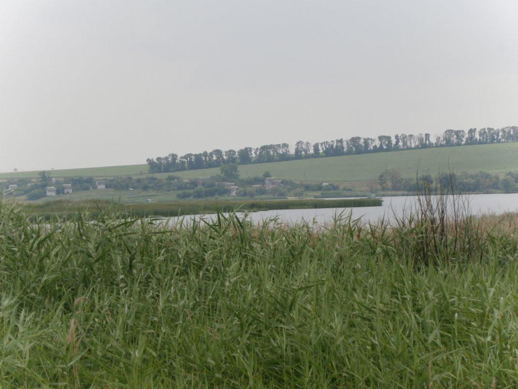 Зеленівка з panoramio.com - Зеленовка