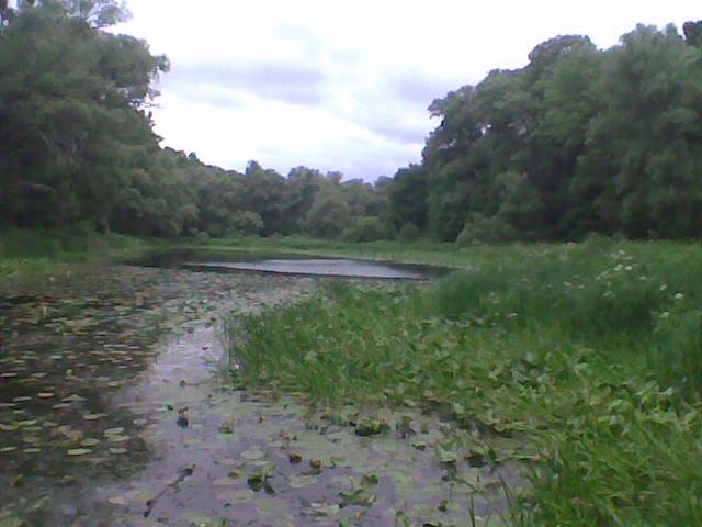 Ладинка з panoramio.com - Ладинка