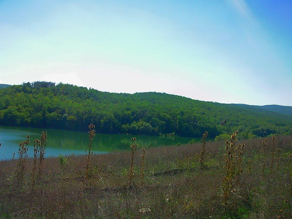 Синапне з panoramio.com - Синапне