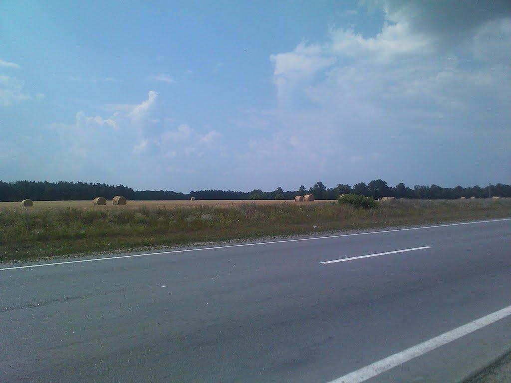 Велика Северинка з panoramio.com - Велика Северинка