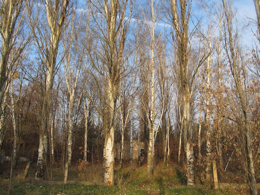 Інгулець з panoramio.com - Ингулец