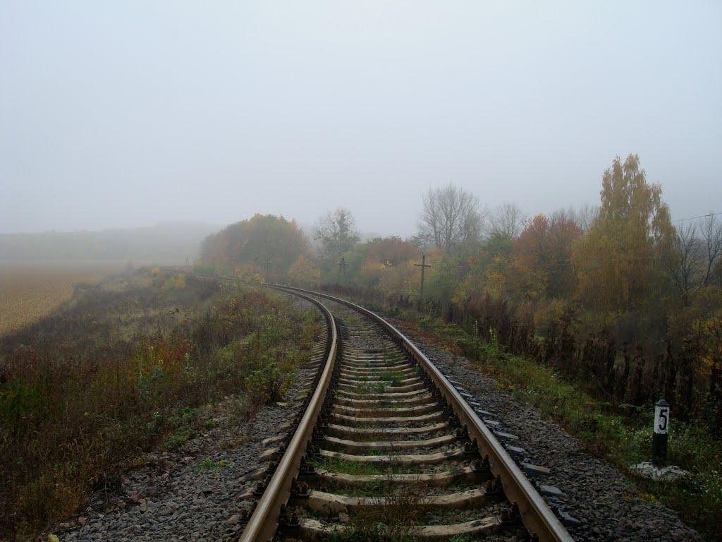 Вільхівці з panoramio.com - Вільхівці