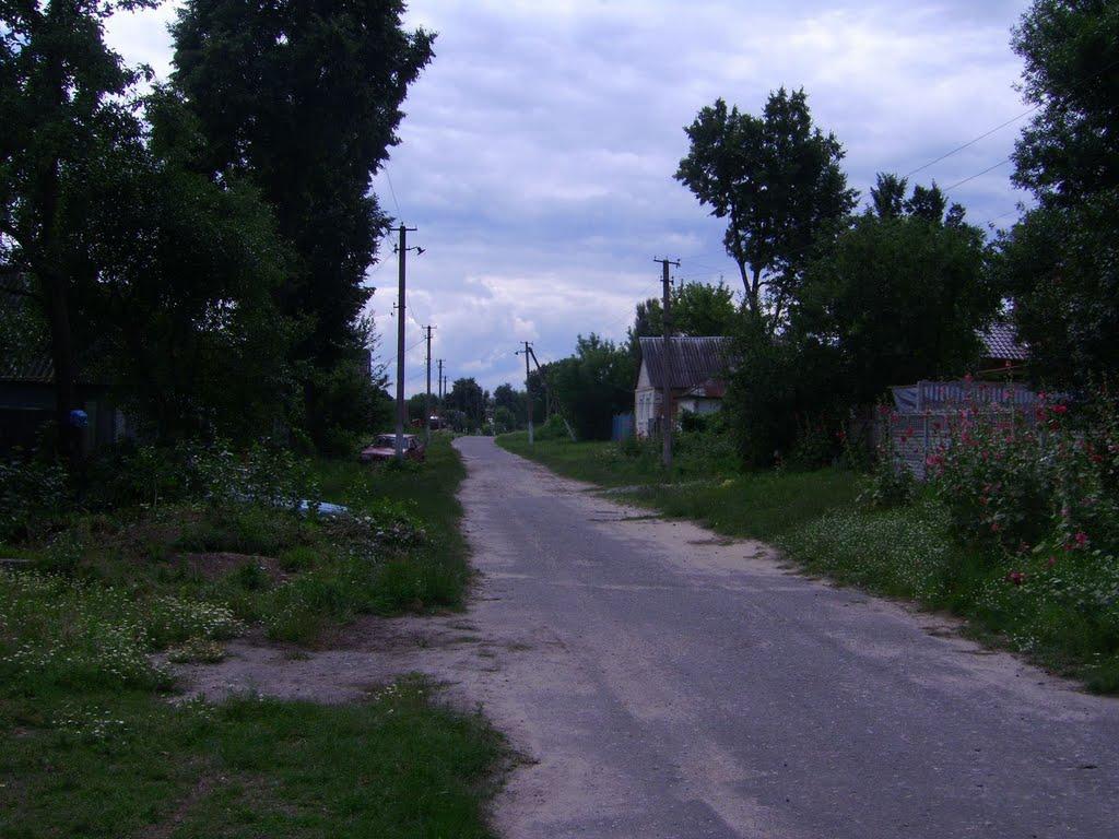 Кирияківщина з panoramio.com - Кирияковщина