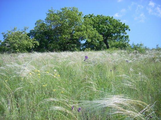 Ровеньки з panoramio.com - Rovenky