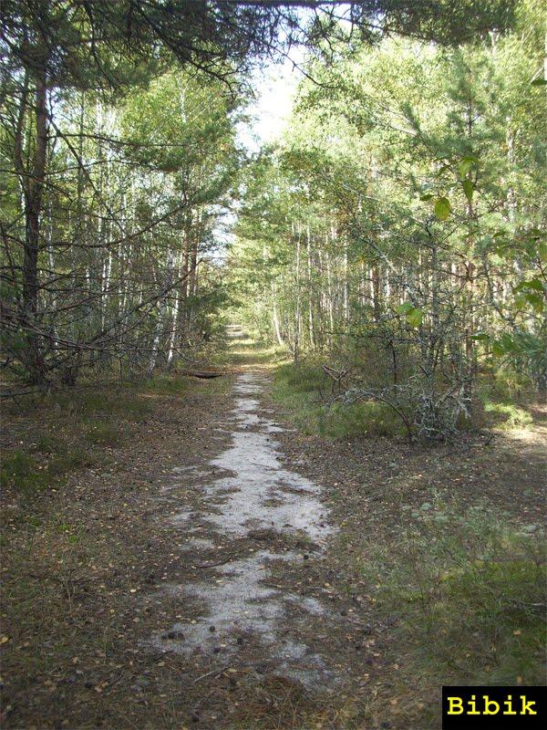 Карпилівка з panoramio.com - Карпиловка