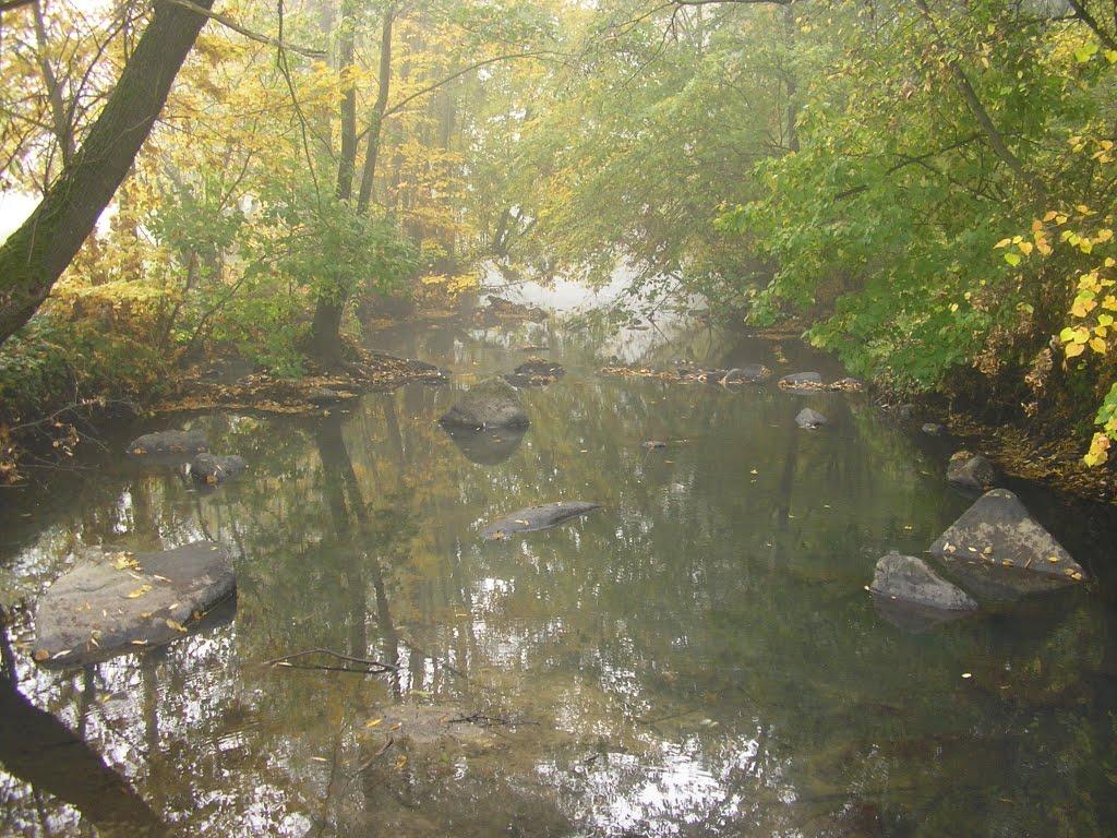 Верлок з panoramio.com - Верлок