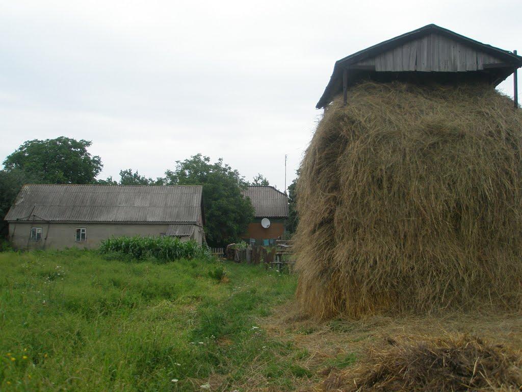 Гулянка з panoramio.com - Гулянка