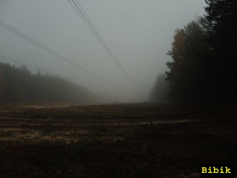 Дитятки з panoramio.com - Дитятки