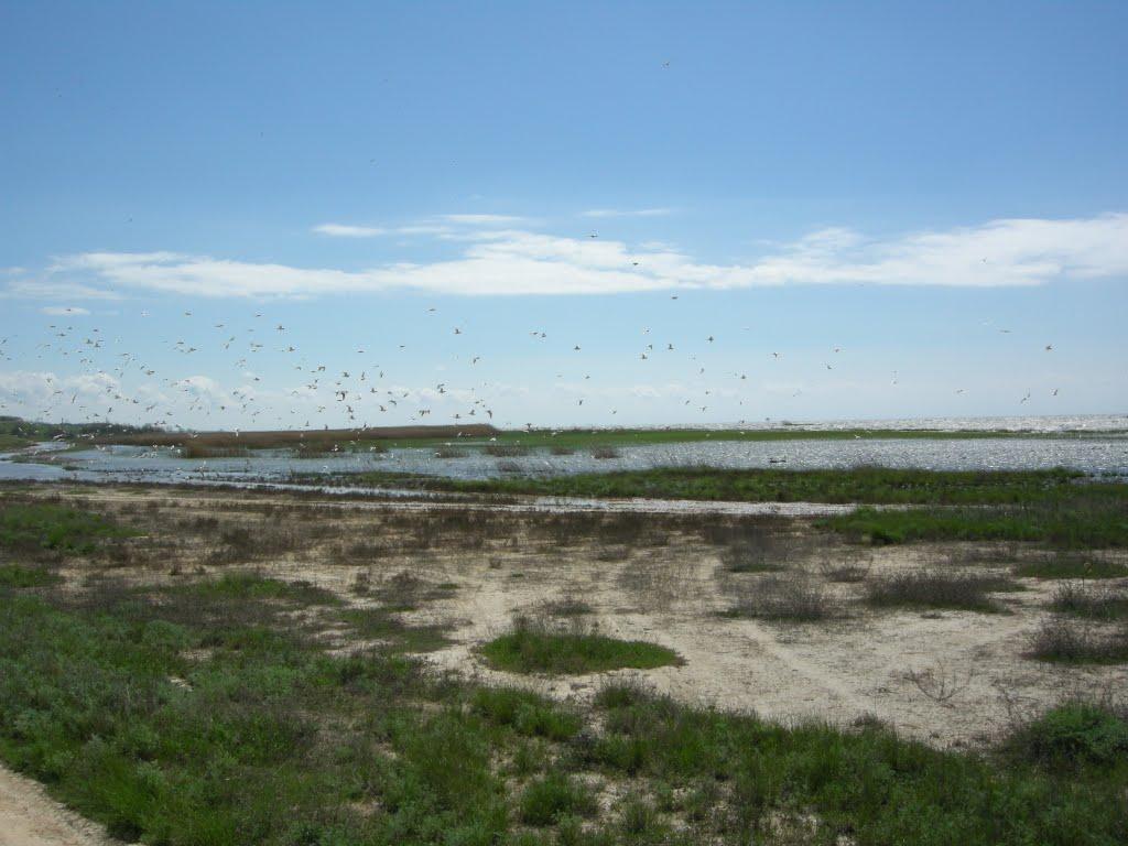 Лупареве з panoramio.com - Лупареве