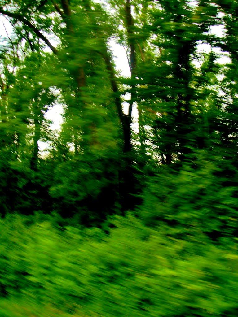 Смільчинці з panoramio.com - Смельчинцы