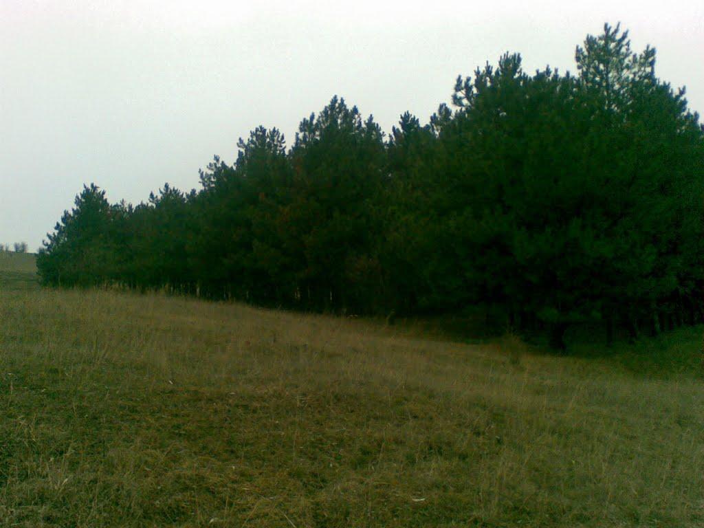 Фуратівка з panoramio.com - Фуратівка