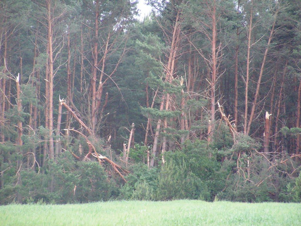 Березна Воля з panoramio.com - Березна Воля