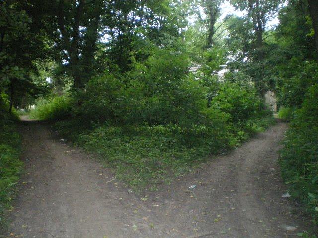 Черепашинці з panoramio.com - Cherepashyntsi