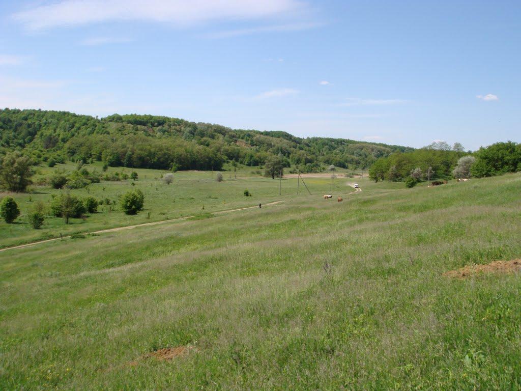 Стариця з panoramio.com - Стариця