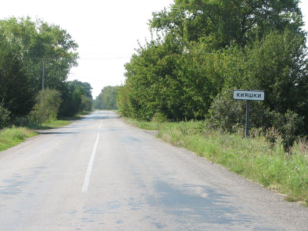 Кияшки з panoramio.com - Кияшки