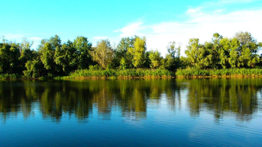 Проточі з panoramio.com - Проточі