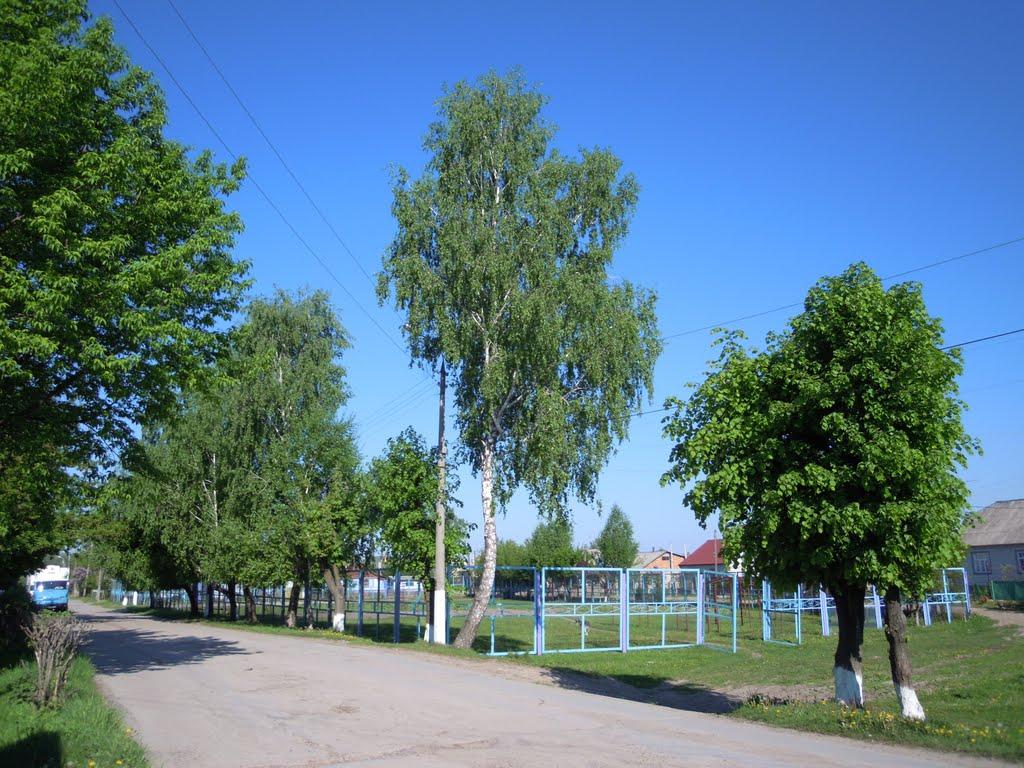 Ізяслав з panoramio.com - Изяслав