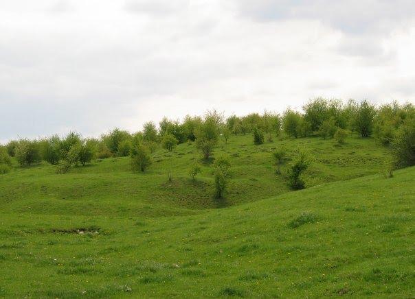 Олексіївка з panoramio.com - Алексеевка