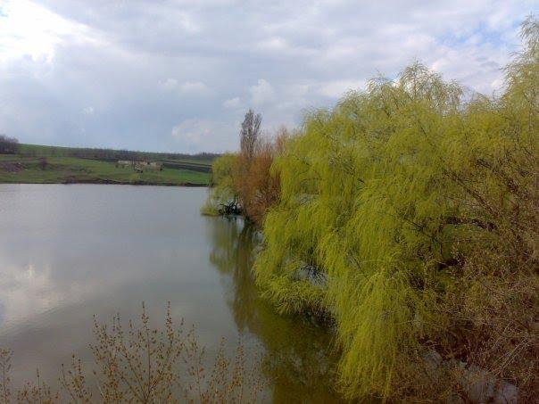 Олексіївка з panoramio.com - Алексеевка