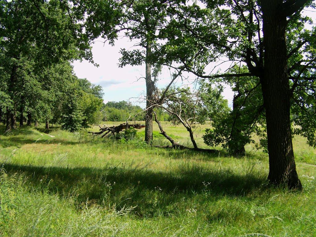 Свеса з panoramio.com - Свесса