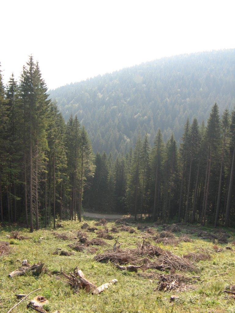 Долішній Шепіт з panoramio.com - Долишний Шепот