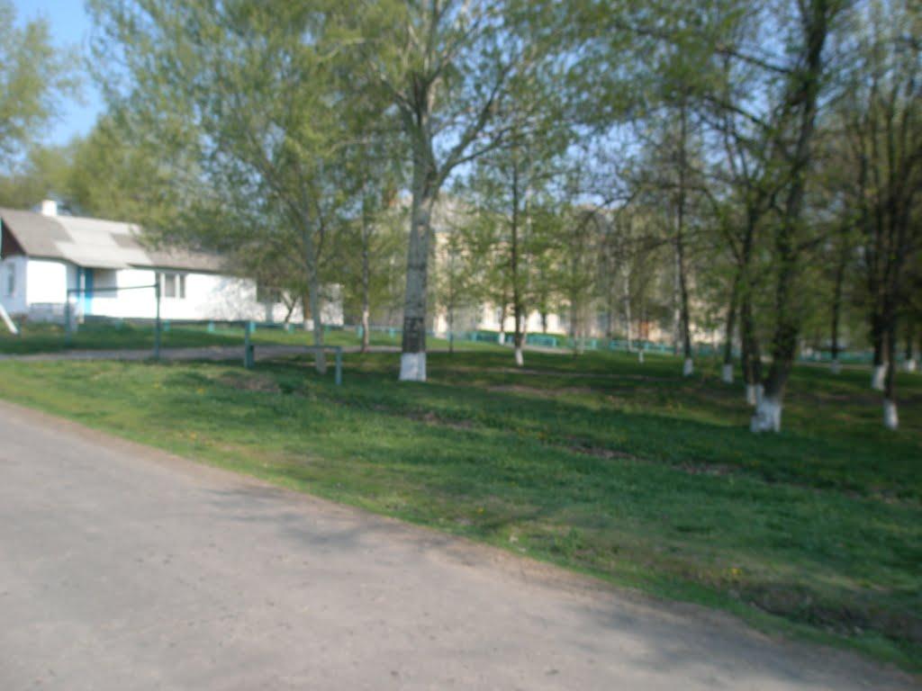 Радивонівка з panoramio.com - Радивонівка