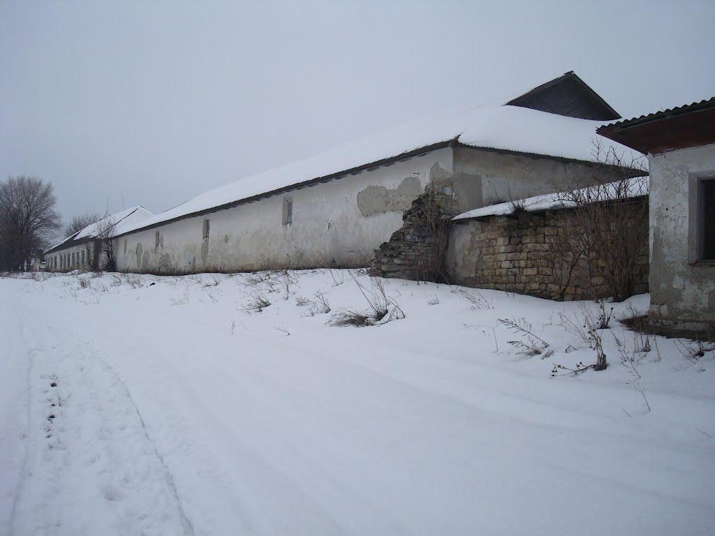 Борщівка з panoramio.com - Борщівка