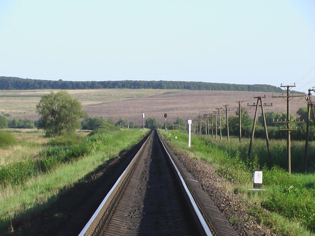 Дроховичі з panoramio.com - Drokhovychi