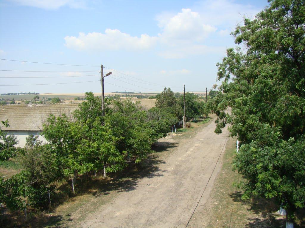 Жовтий Яр з panoramio.com - Жовтий Яр