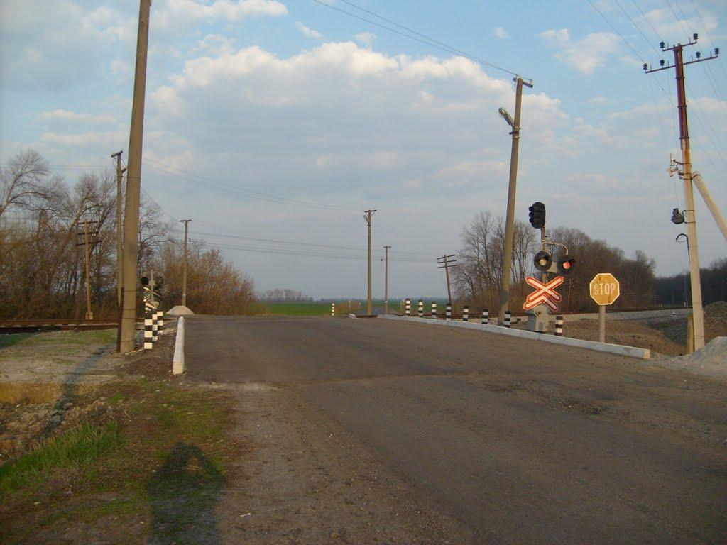 Новодмитрівка з panoramio.com - Новодмитрівка
