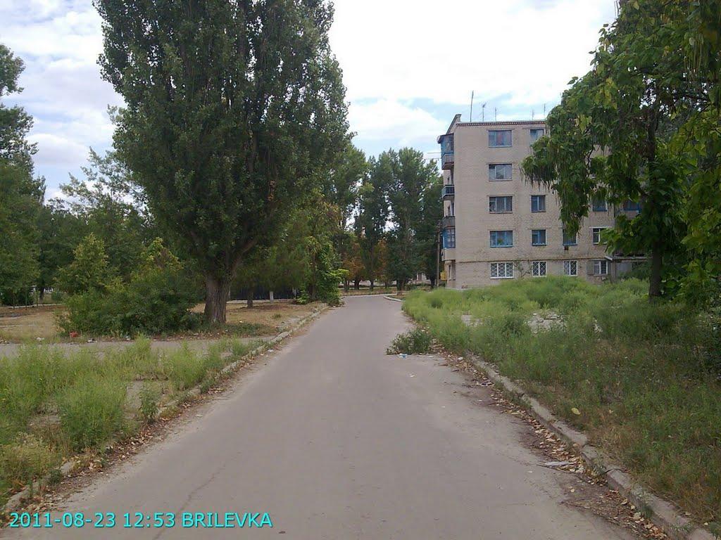 Брилівка з panoramio.com - Брилівка