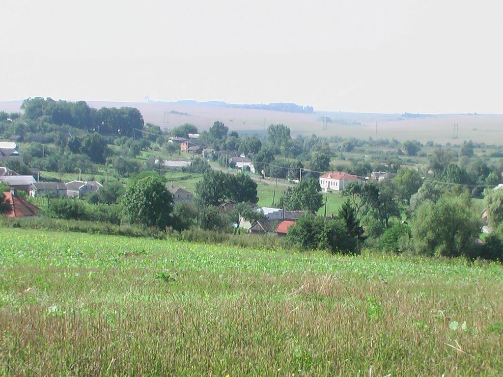 Дроховичі з panoramio.com - Drokhovychi