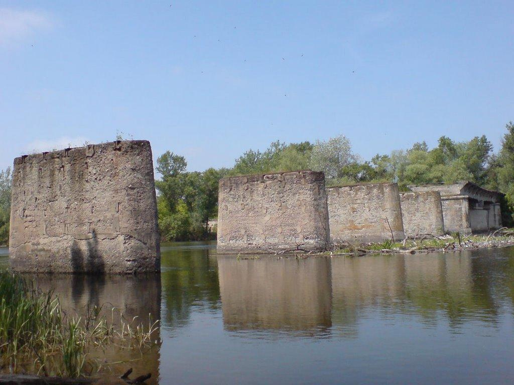 Кияшки з panoramio.com - Кияшки