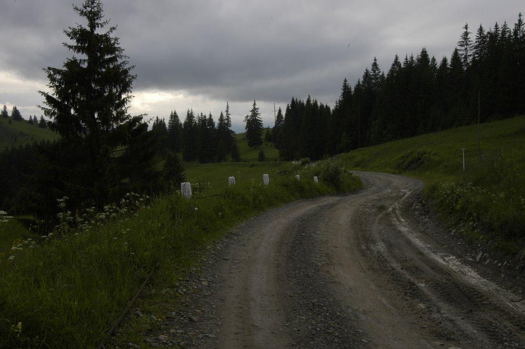 Долішній Шепіт з panoramio.com - Долишний Шепот