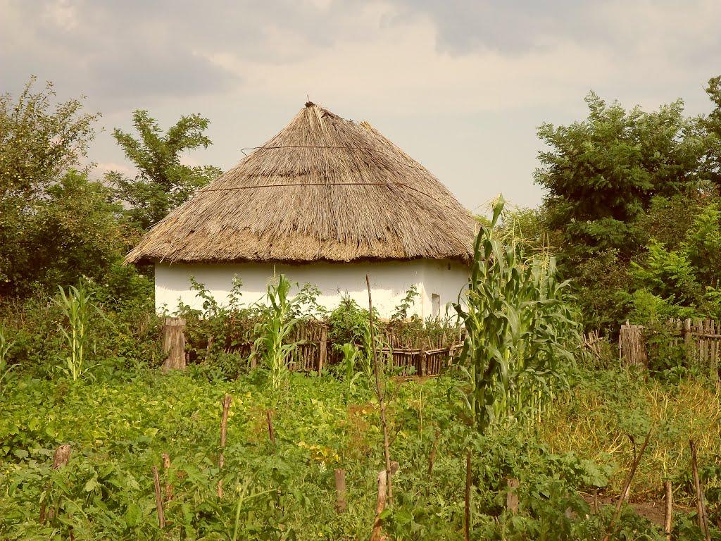 Луканівка з panoramio.com - Лукановка
