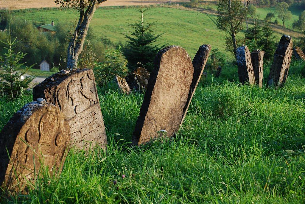 Лопушанка з panoramio.com - Лопушанка