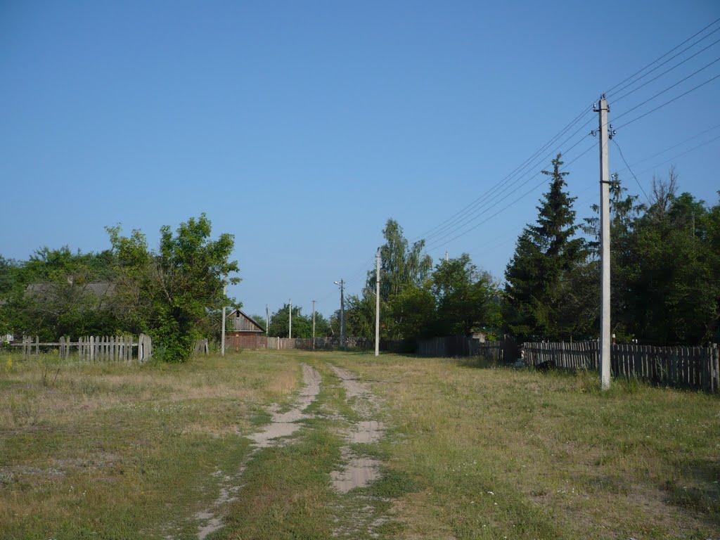 Прохорів з panoramio.com - Prokhoriv