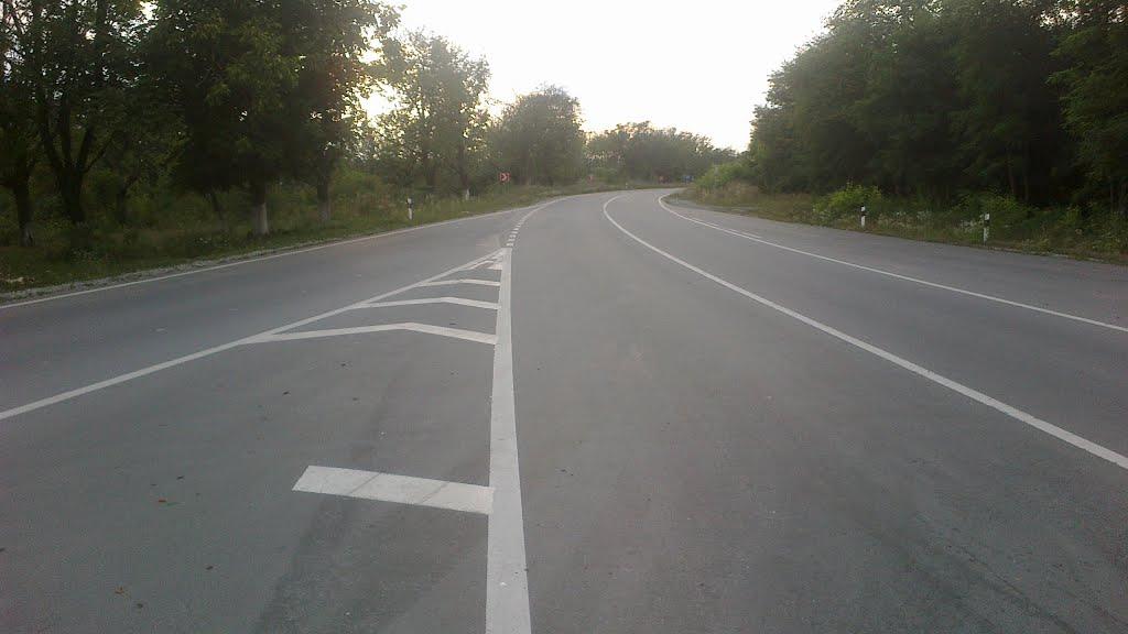 Репужинці з panoramio.com - Репужинці