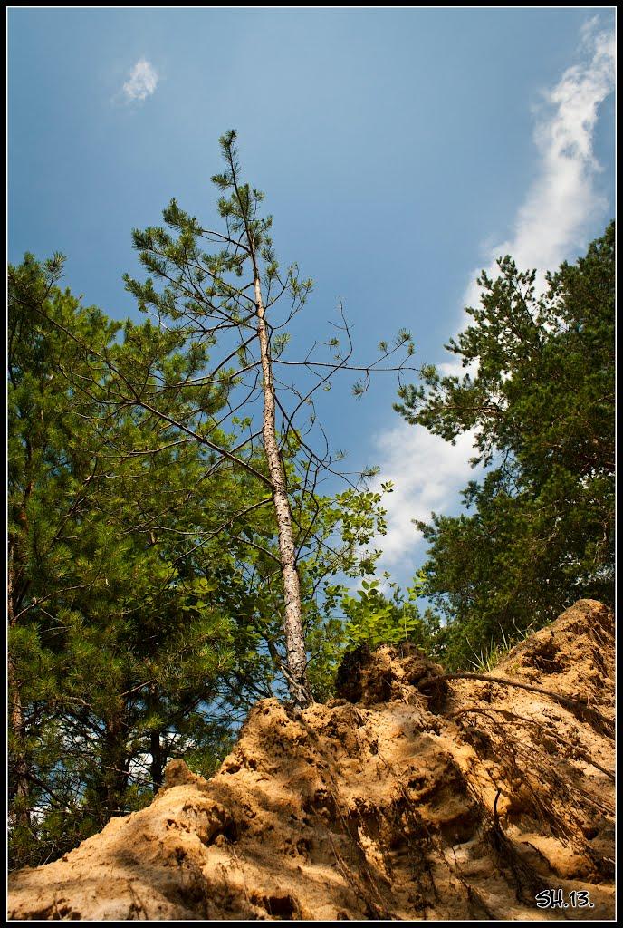 Мала Любаша з panoramio.com - Мала Любаша